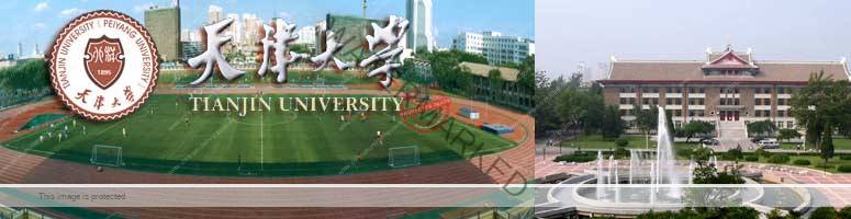 Tianjin University University Scholarship