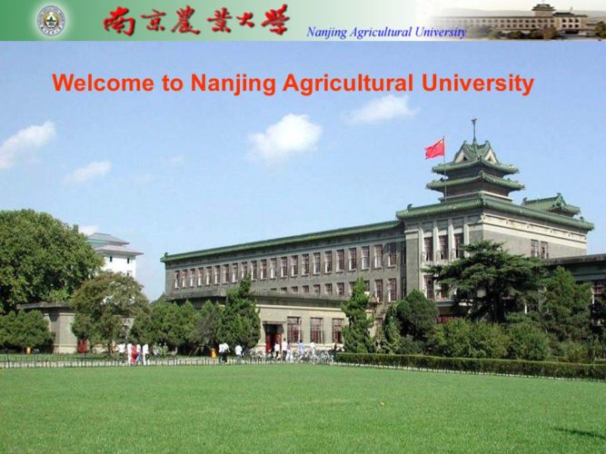 Bolsa de estudos da Universidade Agrícola de Nanjing