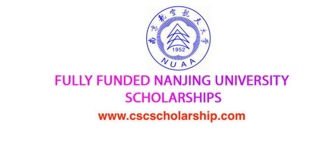 Scholarship ng Nanjing University