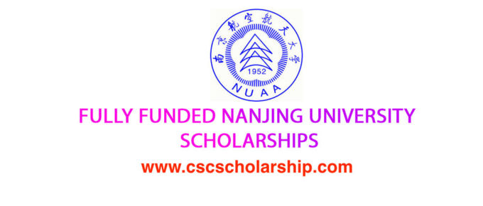Bolsa da Universidade de Nanjing
