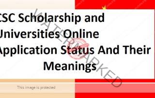 CSC Scholarship and Universities Online Application Status And Their Meanings