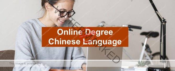 online Chinese degree