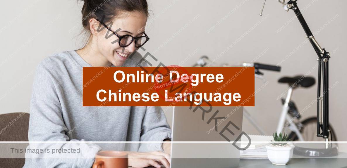 Online Degree Chinese Language 2022 (UPDATED)